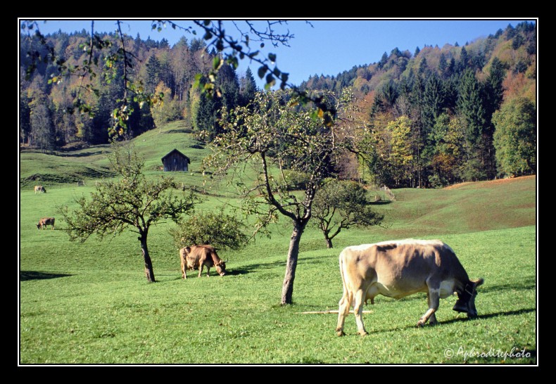 19 Typische Landschaft